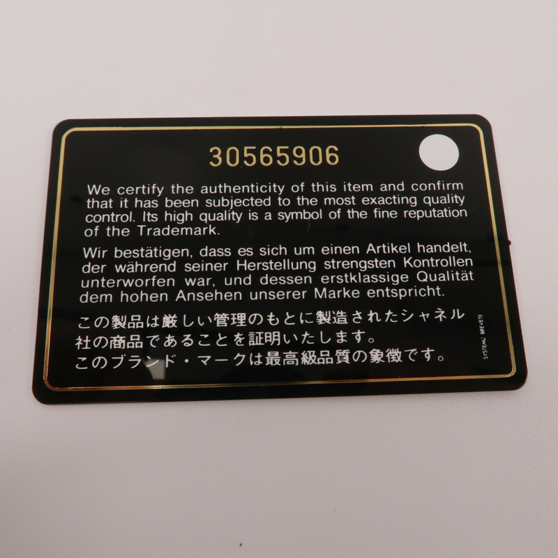 CHANEL 羊皮皮革Flpa 19 Coins Wallet With Chain鏈帶肩背袋-8