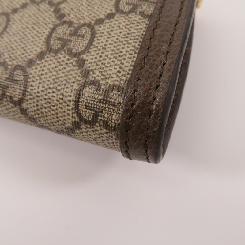 GUCCI 塗層帆布Blondie Wallet With Chain鏈帶肩背袋-11