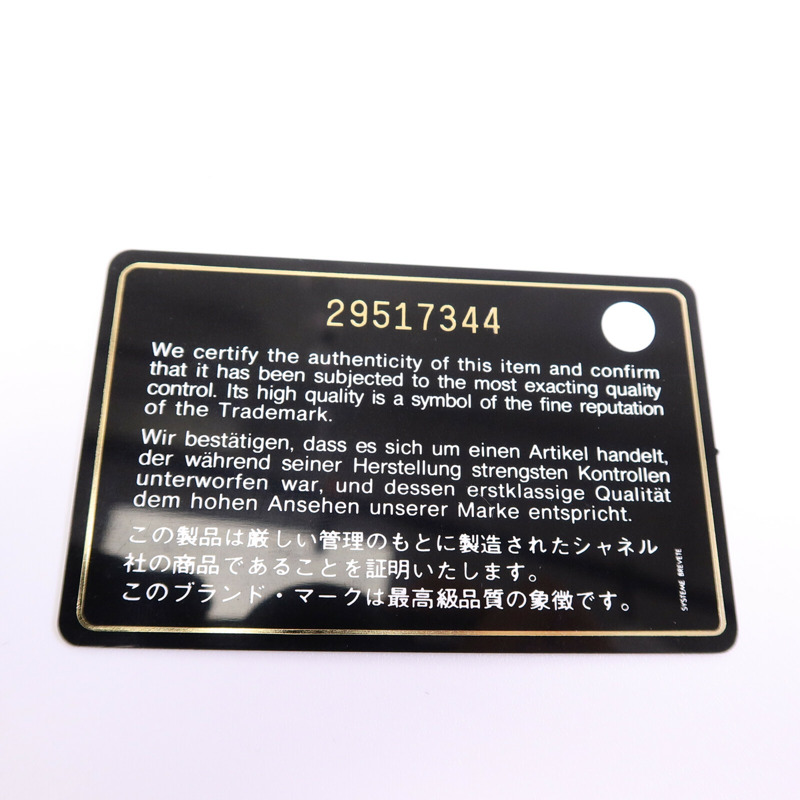CHANEL 羊皮皮革Chanel 19 WOC鏈帶手挽肩背兩用袋-15