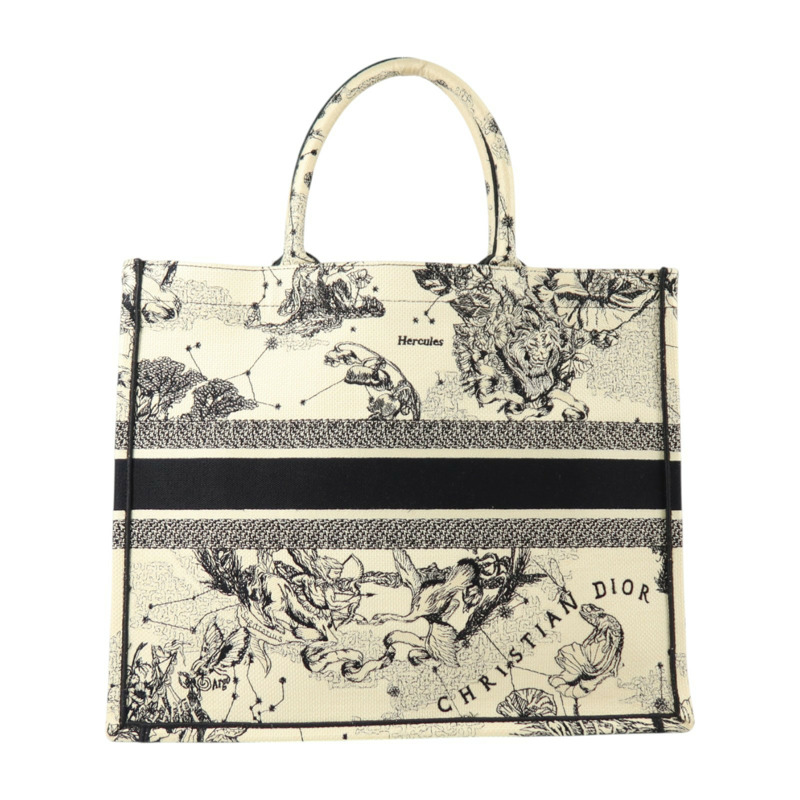 Dior 帆布Book Tote Large手挽袋-1