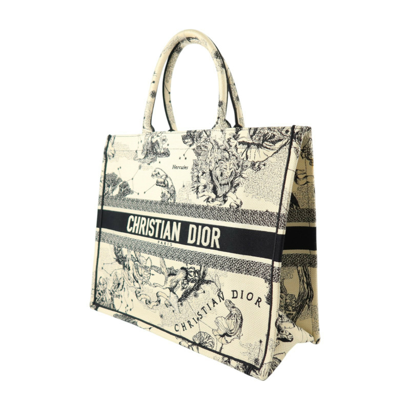 Dior 帆布Book Tote Large手挽袋-2