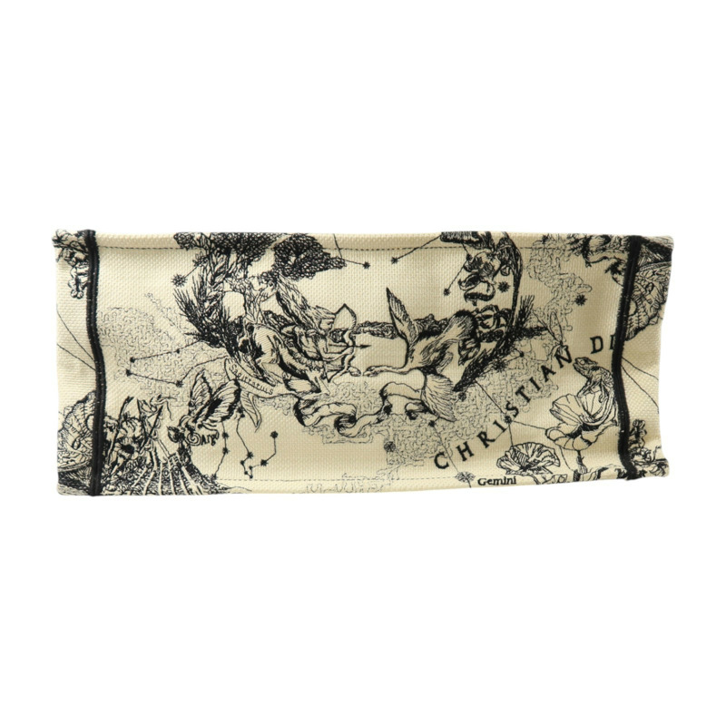 Dior 帆布Book Tote Large手挽袋-3