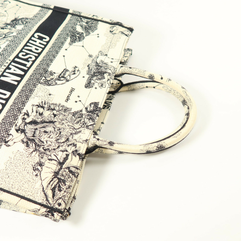 Dior 帆布Book Tote Large手挽袋-7