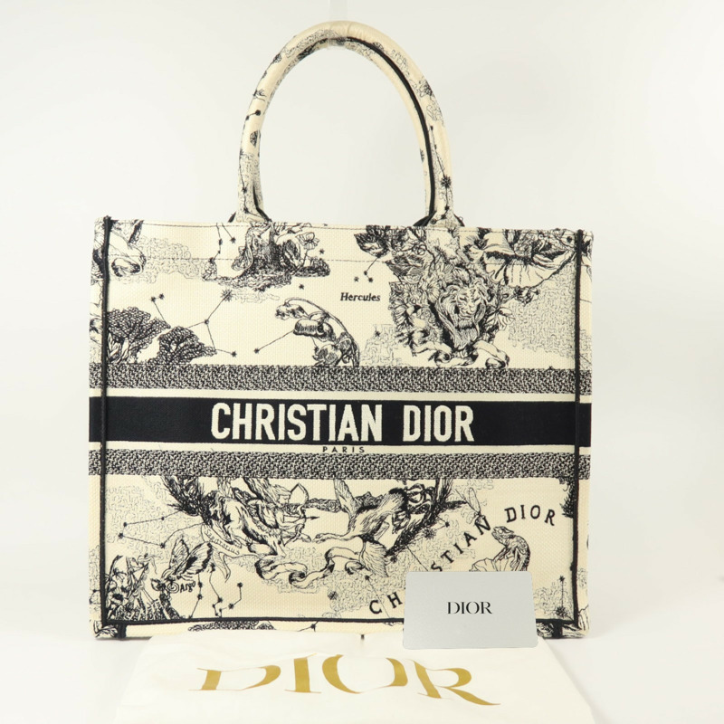 Dior 帆布Book Tote Large手挽袋-9
