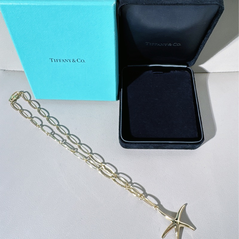 Tiffany蒂芙尼 Elas Peretti設計師款 鏤空鍊子大海星項鍊-6
