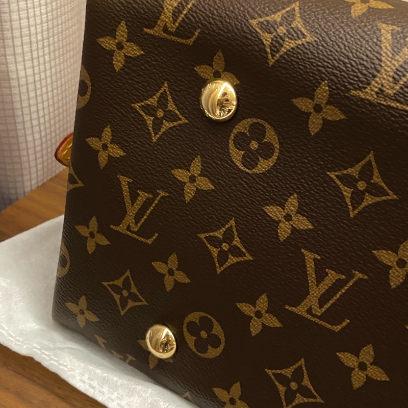 LV CarryAll MM 晶片款 98新-4