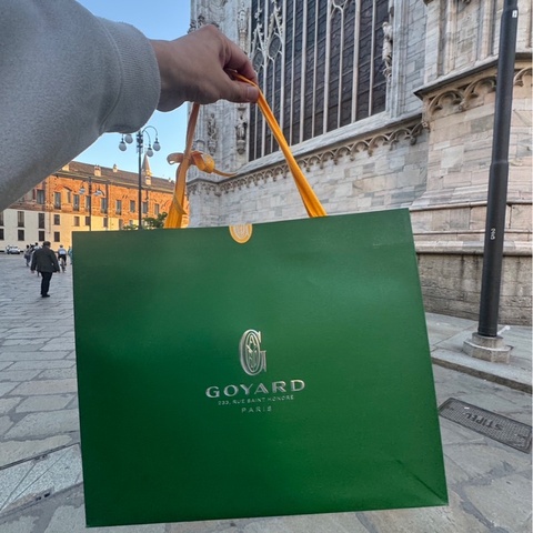Goyard Hobo PM