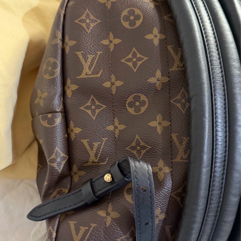 LV後背包 Palm Springs-5