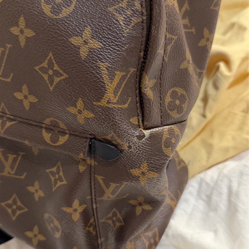 LV後背包 Palm Springs-12