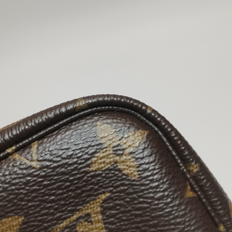 Louis Vuitton (LV) 迷你Monogram 麻雀包-11