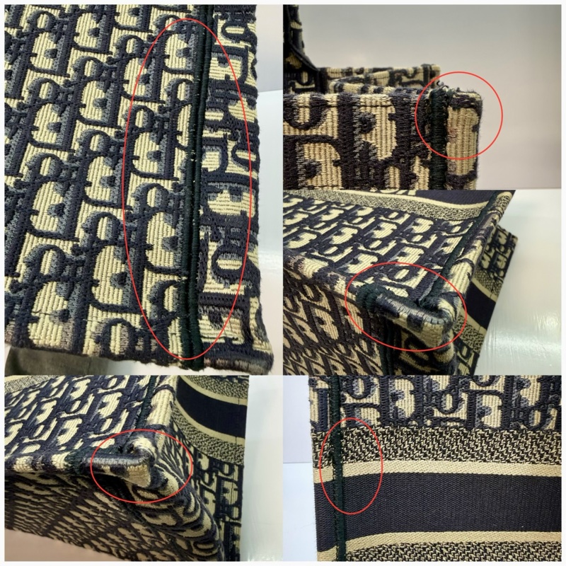 DIOR 迪奧 Book Tote Oblique 刺繡帆布中型托特包 50-MA-0199-8