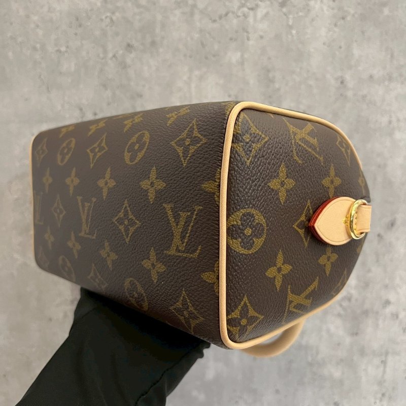 Louis Vuitton LV speedy20晶片款-10