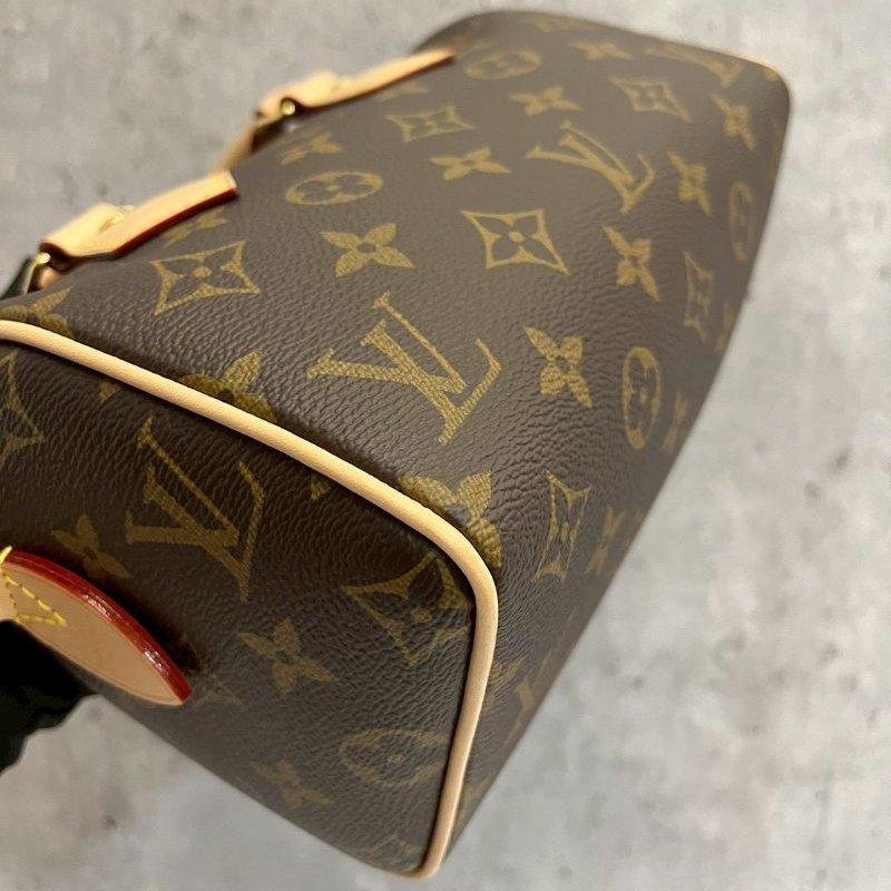 Louis Vuitton LV speedy20晶片款-11