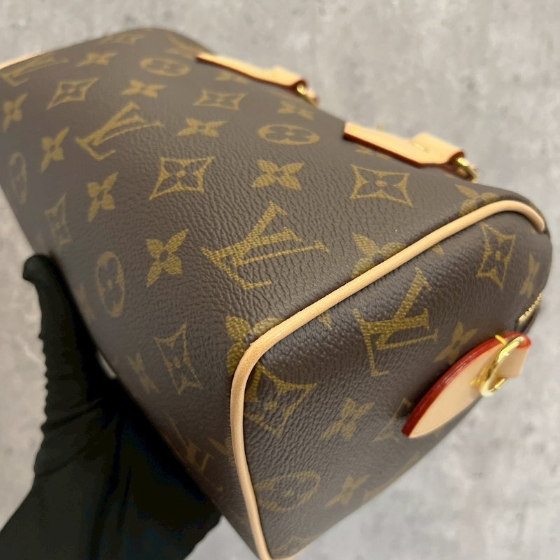 Louis Vuitton LV speedy20晶片款-12