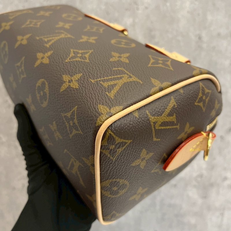 Louis Vuitton LV speedy20晶片款-14