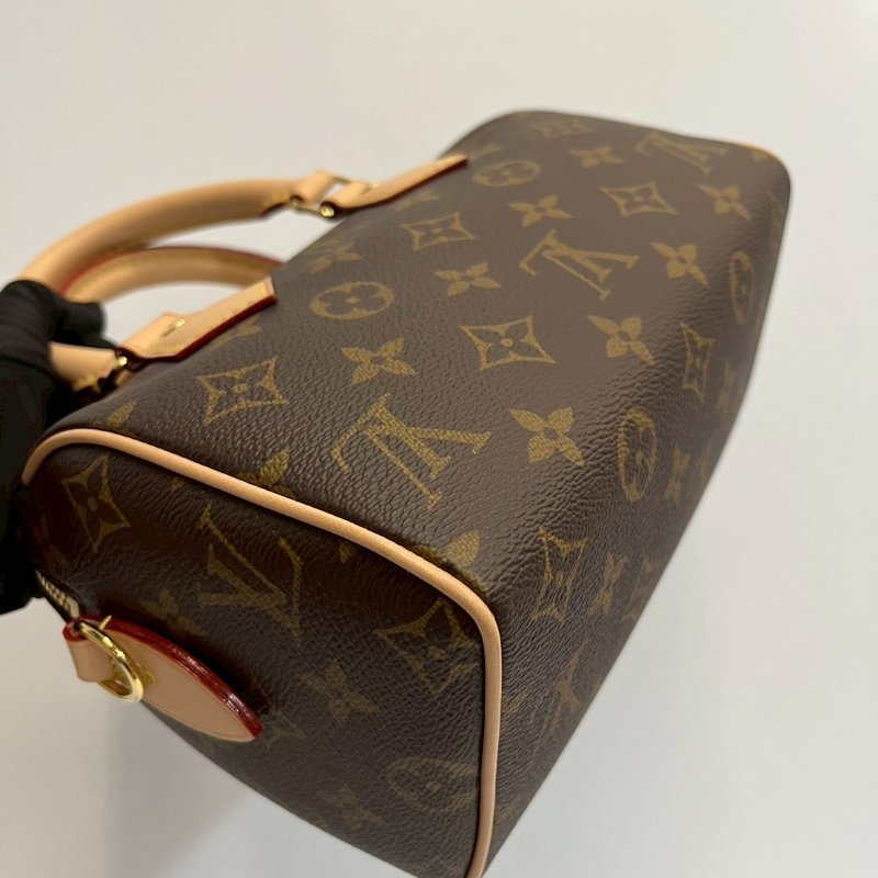 Louis Vuitton LV speedy20晶片款-13