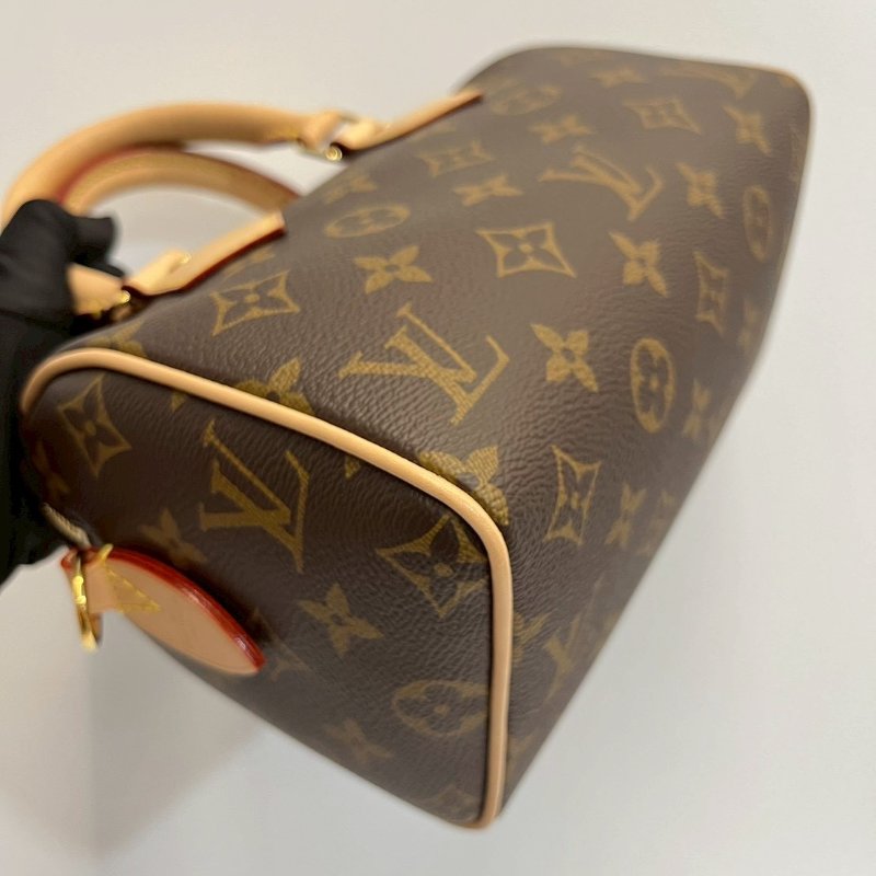 Louis Vuitton LV speedy20晶片款-14