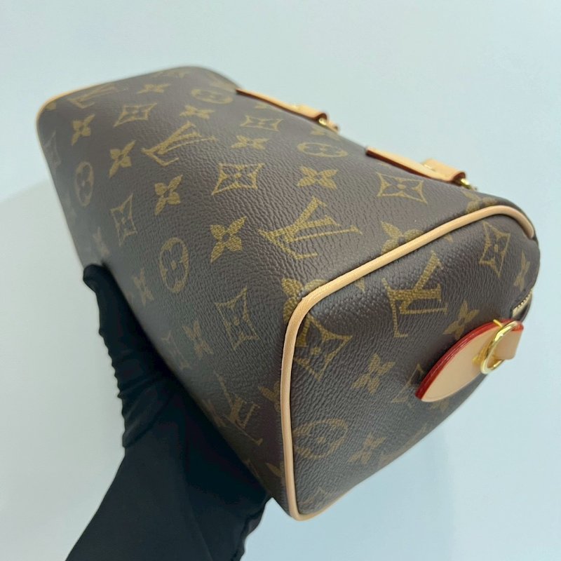 Louis Vuitton LV speedy20晶片款-15