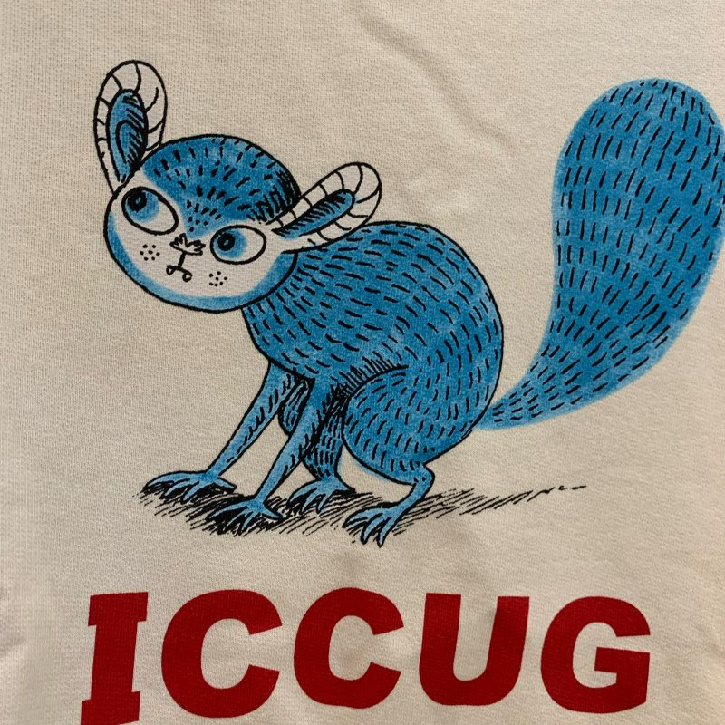 💎Han's house精品服飾💎GUCCI 衛衣 大學T  現貨 青年款-1