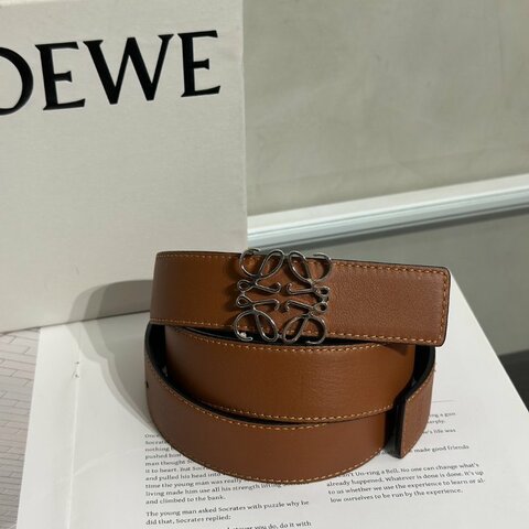 LOEWE Anagram小牛皮腰帶 - 棕銀 95