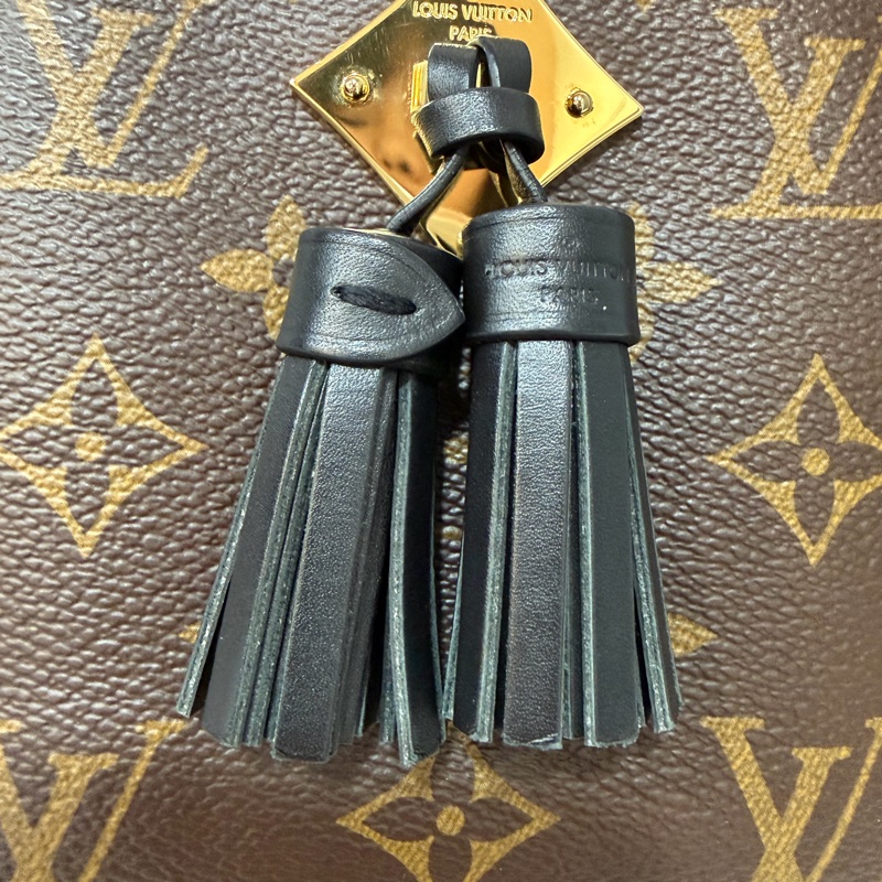 LV M43555 Saintonge 黑皮 老花 流蘇 相機包 方包-16