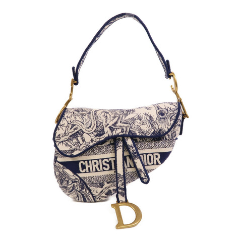 Dior 帆布Saddle手挽袋