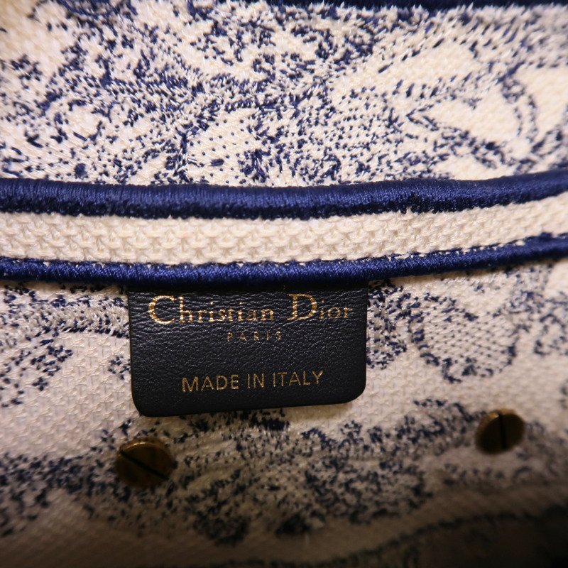 Dior 帆布Saddle手挽袋-6