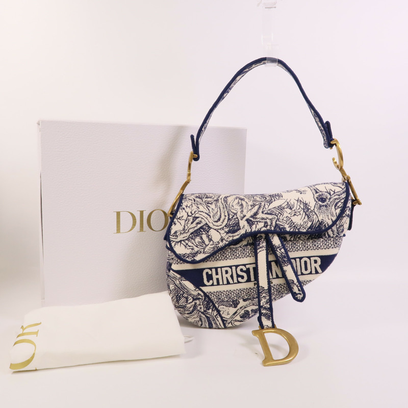 Dior 帆布Saddle手挽袋-10