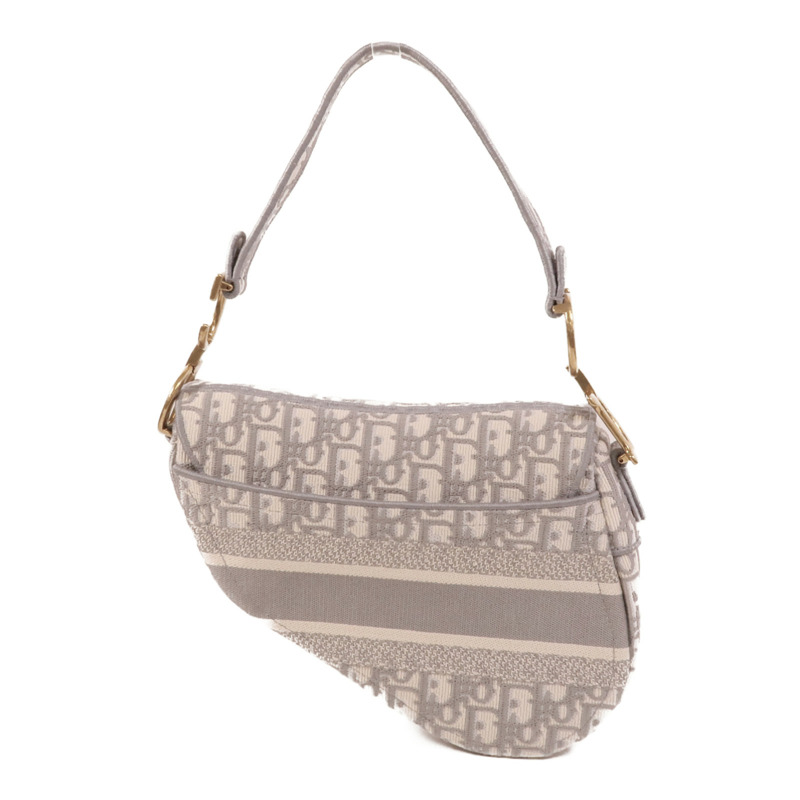 Dior 帆布Saddle Medium肩背袋-1