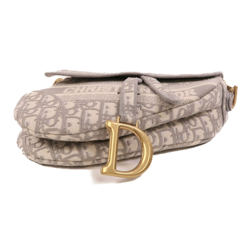 Dior 帆布Saddle Medium肩背袋-3