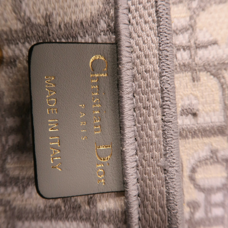 Dior 帆布Saddle Medium肩背袋-9