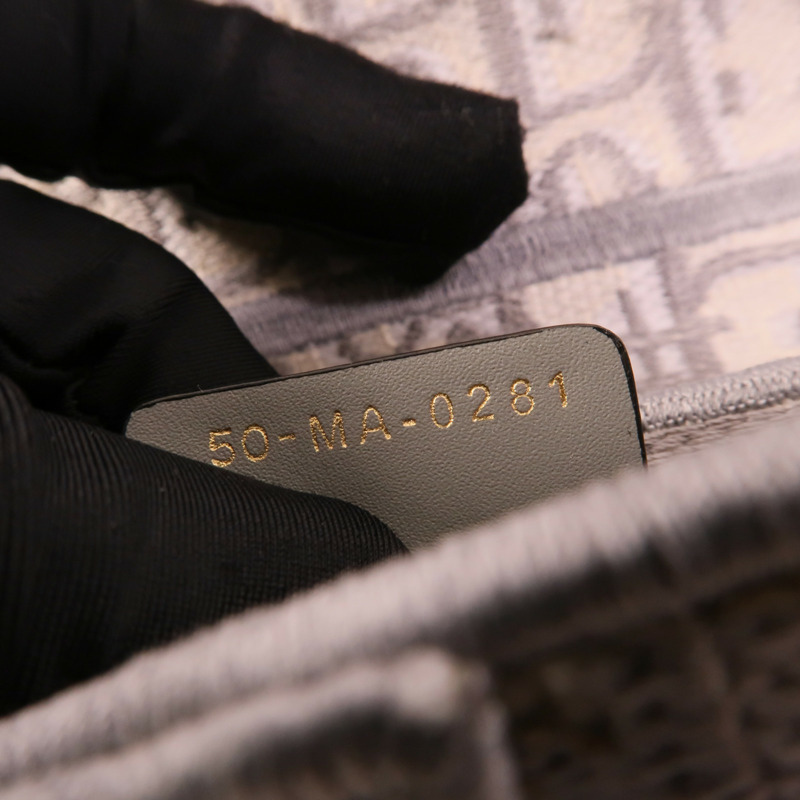 Dior 帆布Saddle Medium肩背袋-10