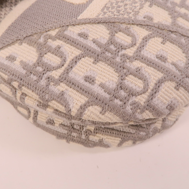 Dior 帆布Saddle Medium肩背袋-12