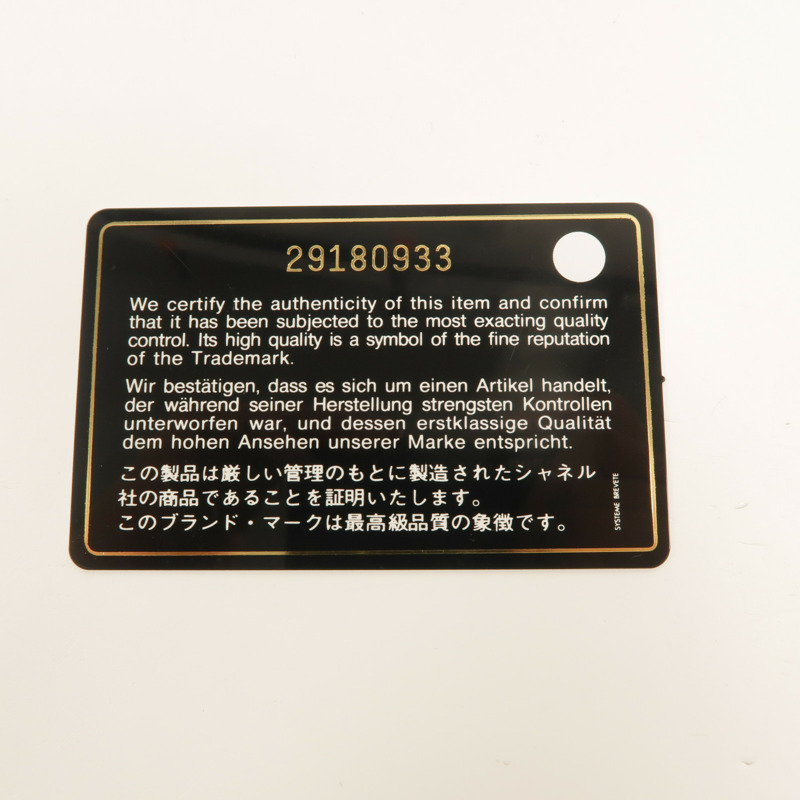 CHANEL PVC Vanity Case手挽肩背兩用袋-9