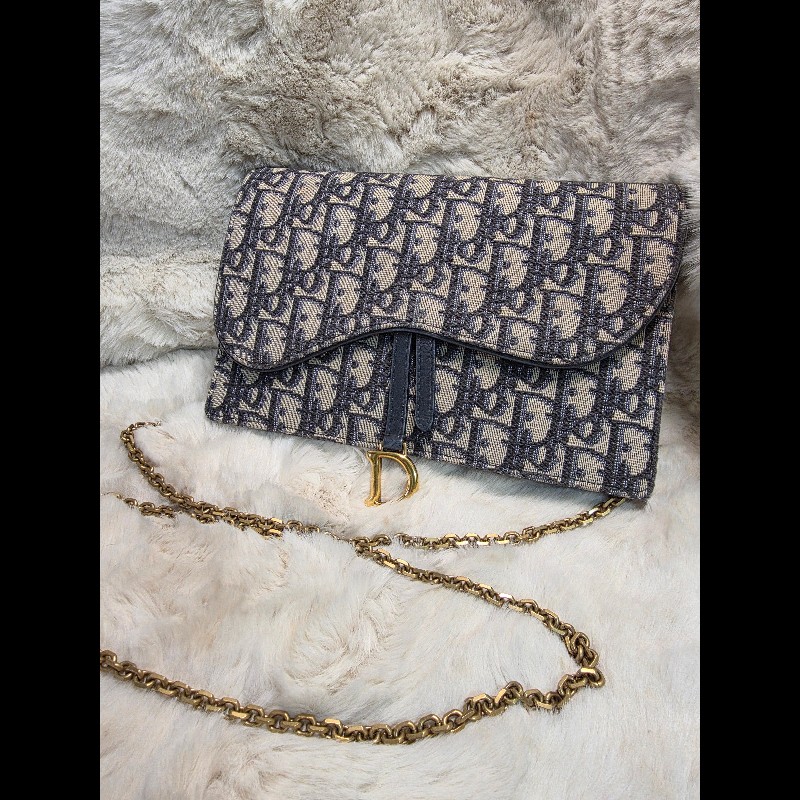 Dior Saddle Wallet on Chain / 馬鞍鏈帶長夾包-1
