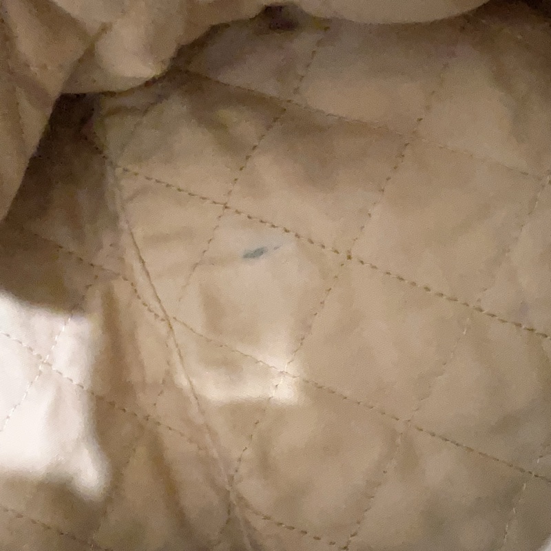 ෆ Chanel 22bag 垃圾袋白銀小號🈶購證-12
