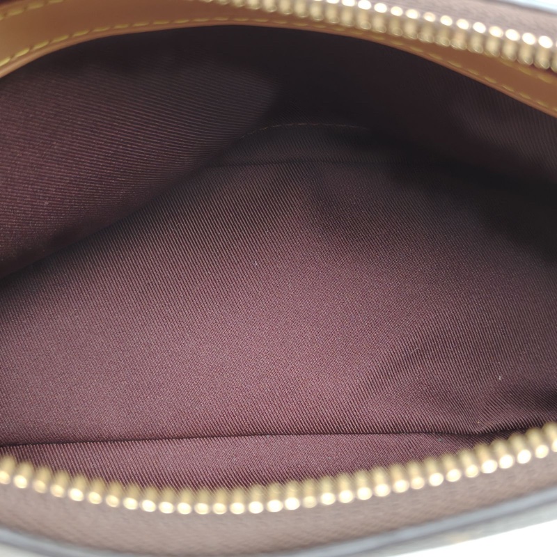 LOUIS VUITTON BOULOGNE牛角包老花PVC晶片肩背包-4