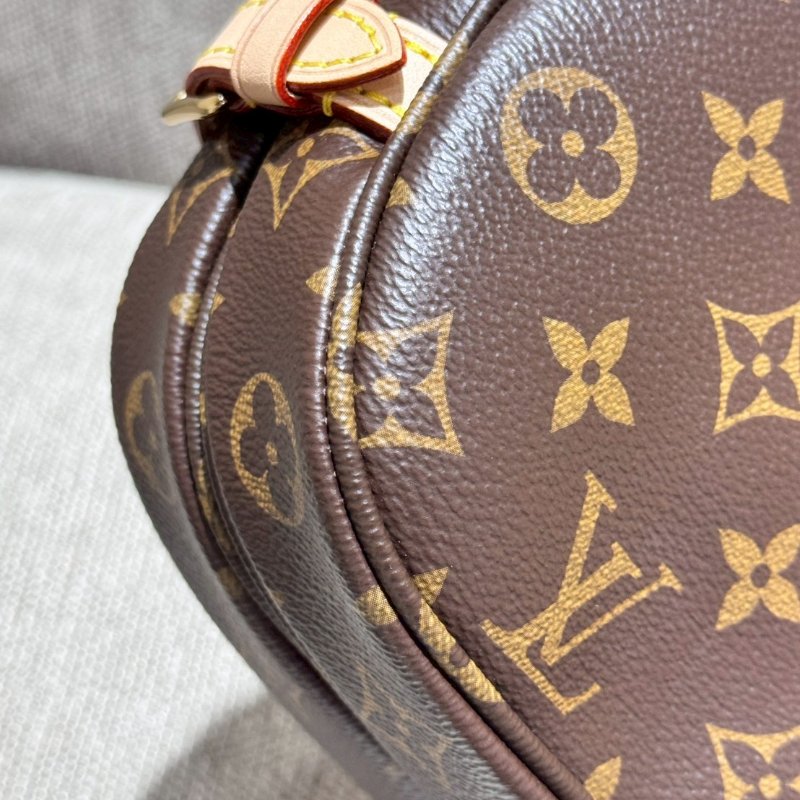 Louis Vuitton 經典馬鞍手提側背包-6