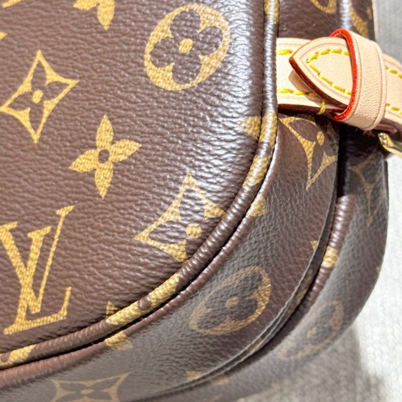Louis Vuitton 經典馬鞍手提側背包-8