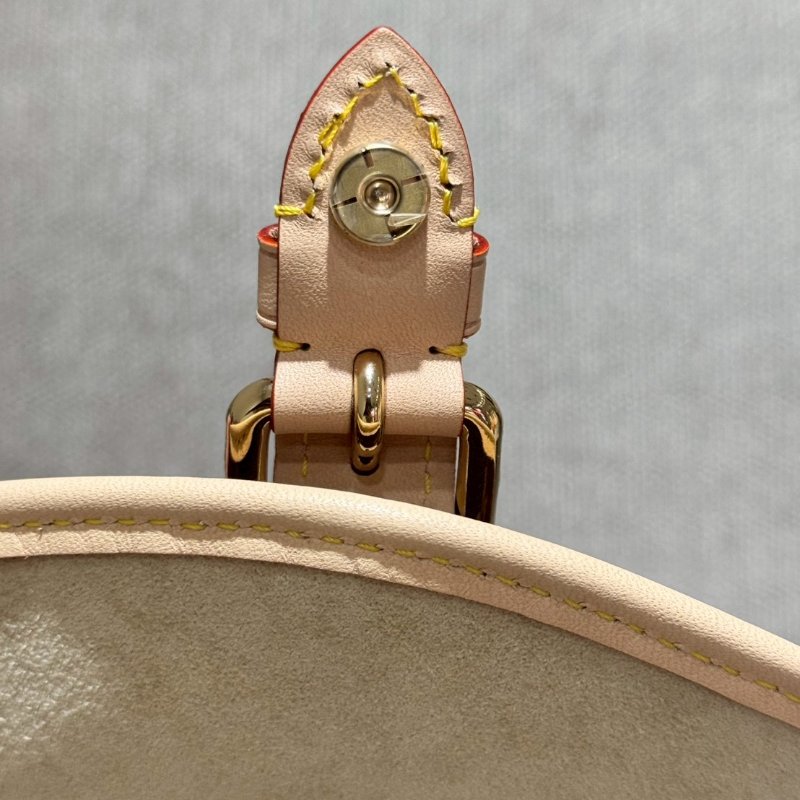 Louis Vuitton 經典馬鞍手提側背包-10