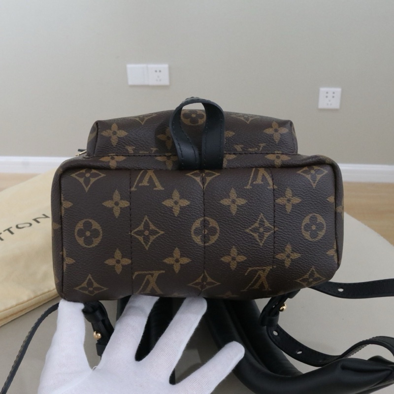 LouisVuitton 路易威登Backpack M41560小號雙肩包 尺寸24*37*14 配件防-3