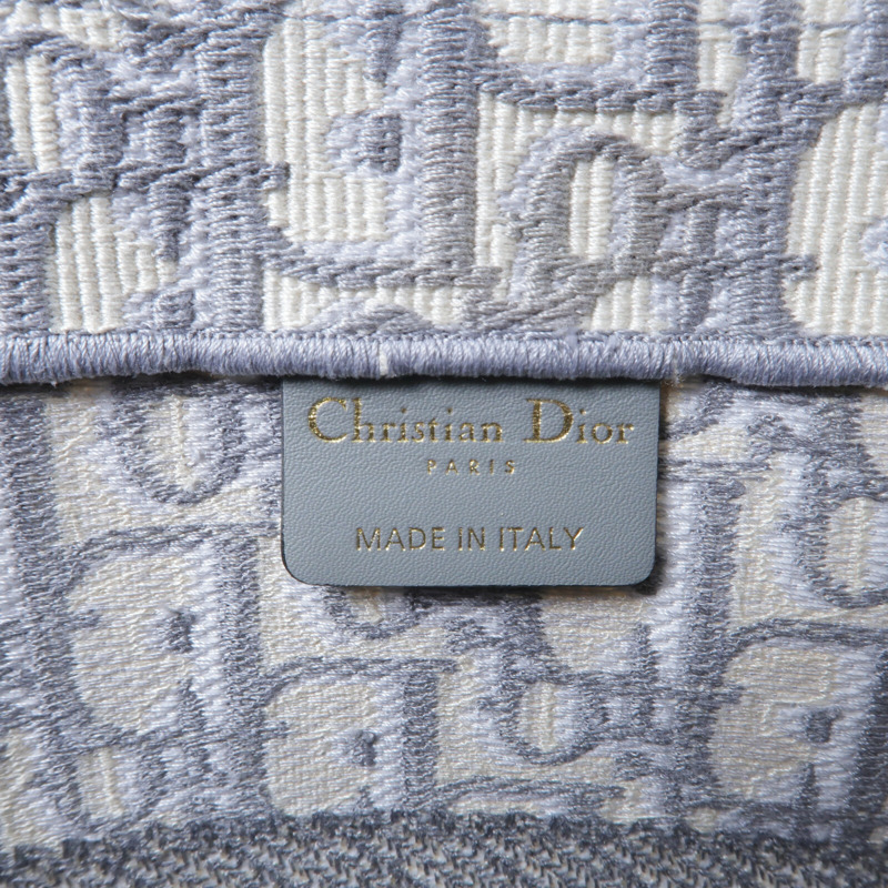 Dior 帆布Book Tote Medium手挽袋-6