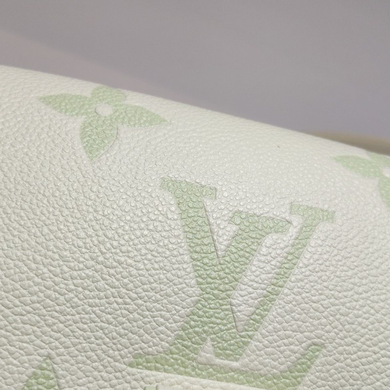 Louis Vuitton (LV) Favorite牛皮拼色老花Logo標誌牌斜背包包肩包晶片款-16