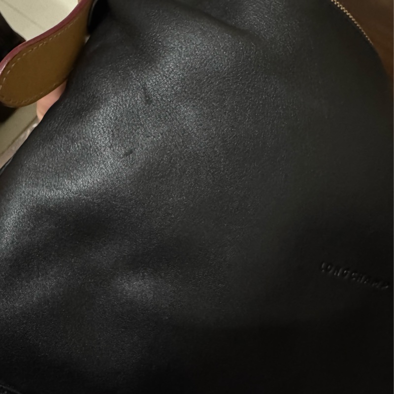 longchamp smoothie斜背袋-7