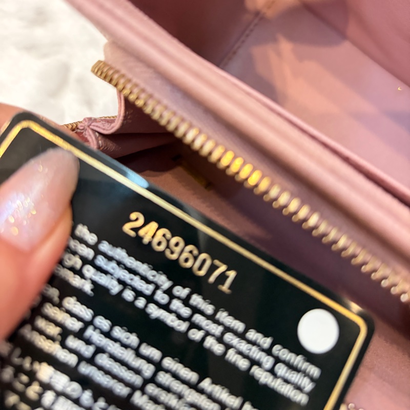 Chanel 乾燥玫瑰粉 郵差包 斜背 手拿-1