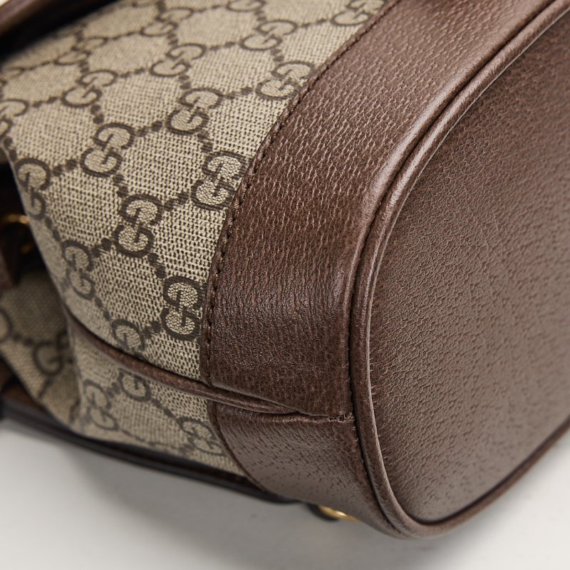 二手Gucci ophidia mini小書包-10