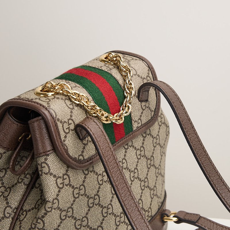 二手Gucci ophidia mini小書包-16