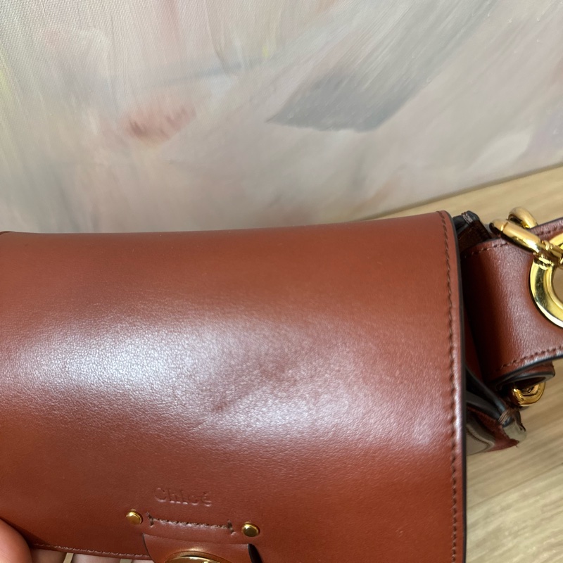 Chole 經典Tess包 可肩背斜背手提-14