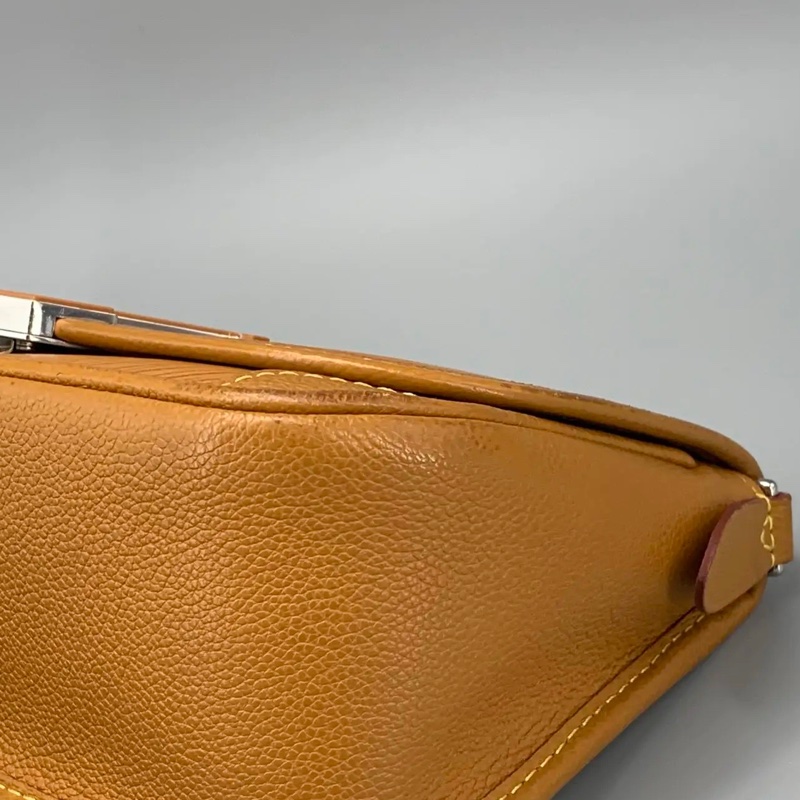 Louis Vuitton 路易威登 buci焦糖 附件：塵袋-9