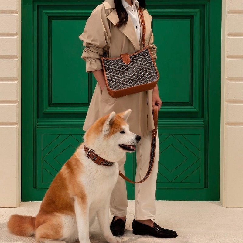 GOYARD Musette 新款 類Evelyne 斜背包 紅色 現貨 11色 可訂購-7